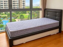 Rivertrees Residences (D28), Apartment #618294761